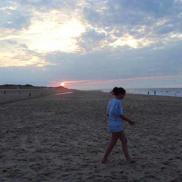 Meet your Posher, Fern - Picture 1 of 1